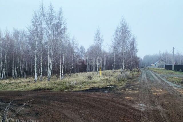 Копейский городской округ, Копейск фото