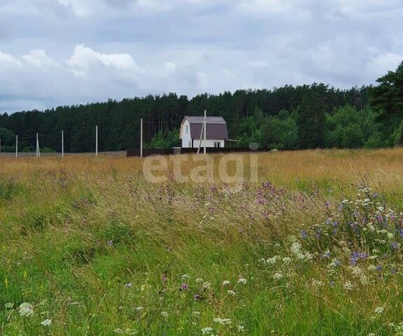 деревня Мухино-Городище фото