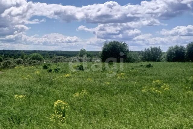 Киселёвский городской округ, Киселёвск фото