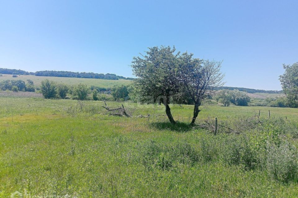 земля р-н Валуйский село Борисово фото 1