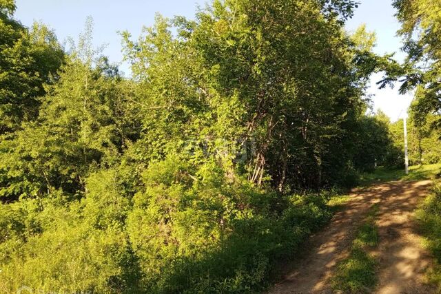 Артёмовский городской округ, СНТ Клён фото