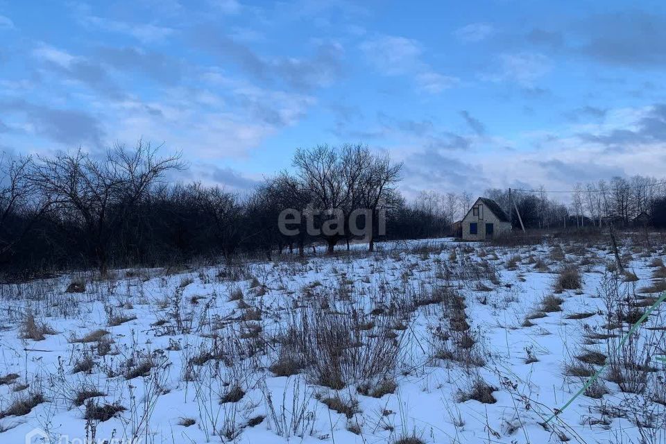 земля р-н Белгородский п Новосадовый пер Луговой Новосадовское сельское поселение фото 1