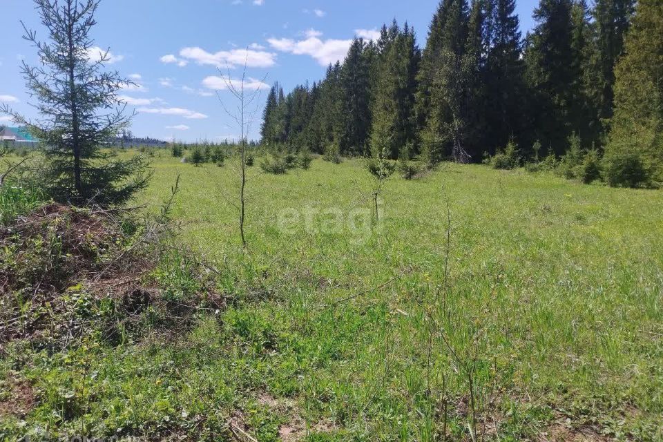 земля р-н Завьяловский д Сизево ул Рябиновая фото 2