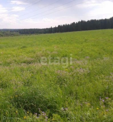 земля г Пермь городской округ Пермь, Кировский фото 2