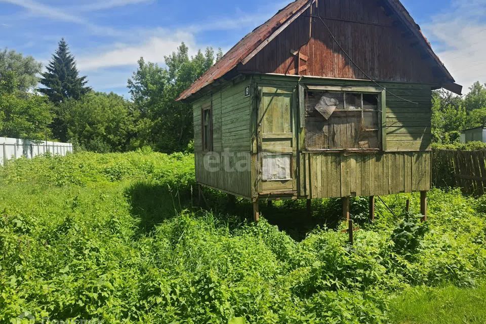 земля р-н Брянский СО Заречное фото 2