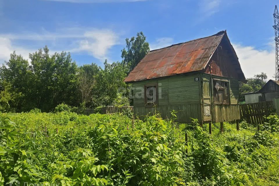 земля р-н Брянский СО Заречное фото 4