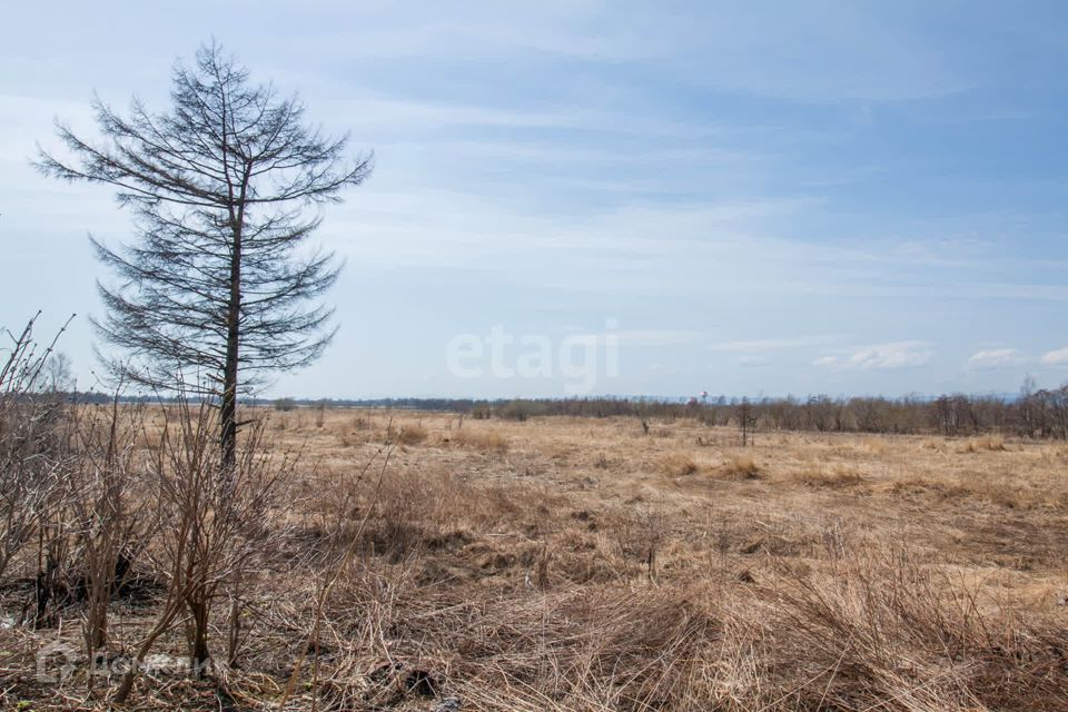 земля р-н Анивский СНТ Геркулес фото 3