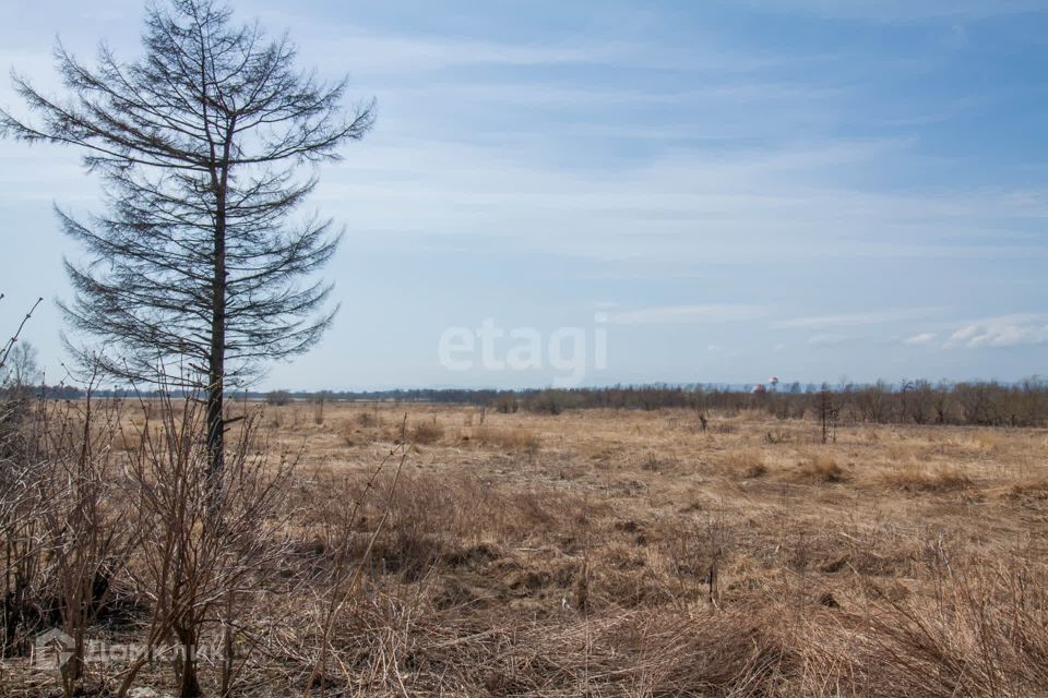 земля р-н Анивский СНТ Геркулес фото 3