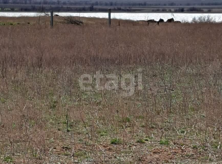 земля р-н Черноморский с Межводное ул Черноморское шоссе 166 фото 4