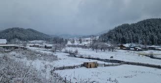 земля р-н Майминский село Александровка фото 3