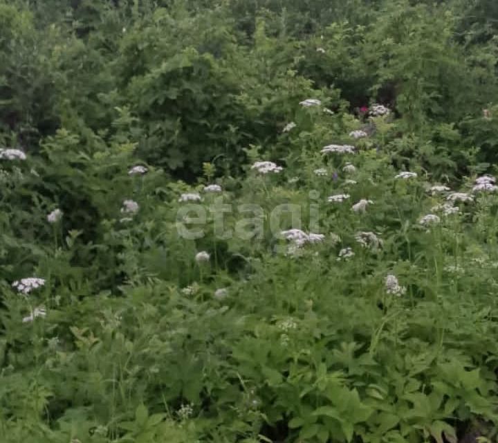 земля г Горно-Алтайск городской округ Горно-Алтайск, садоводческое товарищество Берёзовая роща фото 2