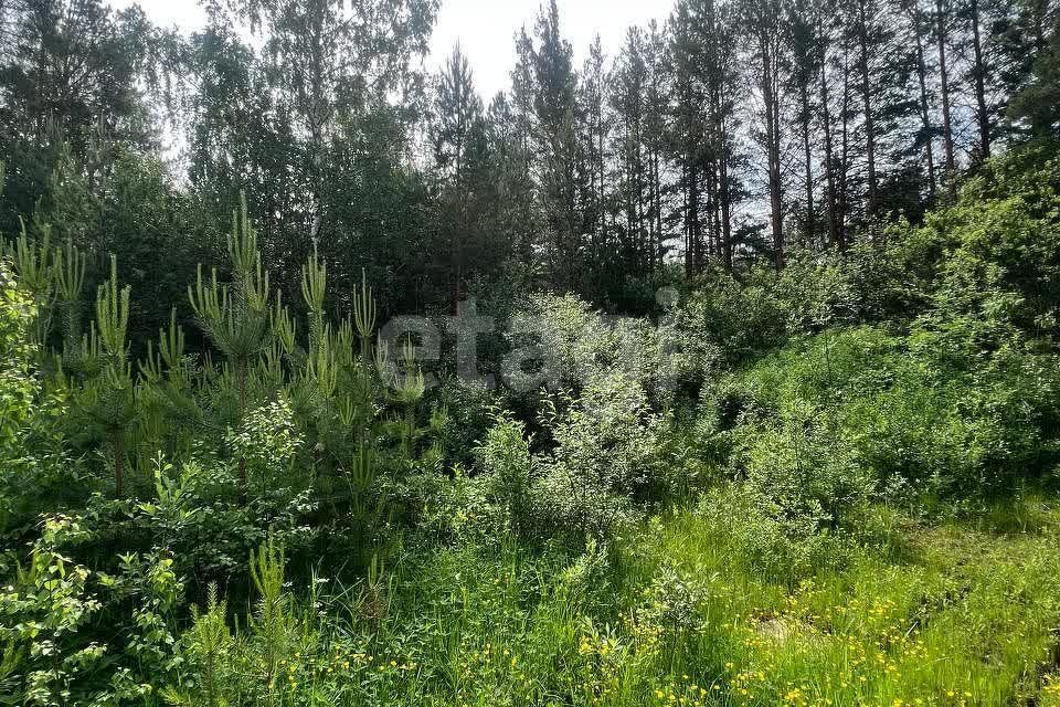 земля Берёзовский городской округ, Берёзовая аллея, 12, посёлок Октябрьский фото 2