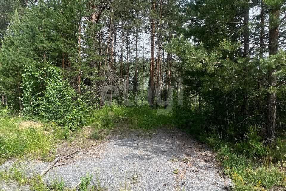 земля Берёзовский городской округ, Берёзовая аллея, 12, посёлок Октябрьский фото 3