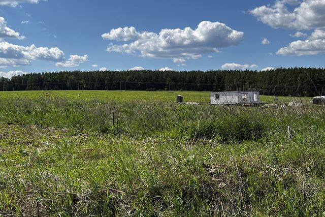 земля территория Дорожная фото