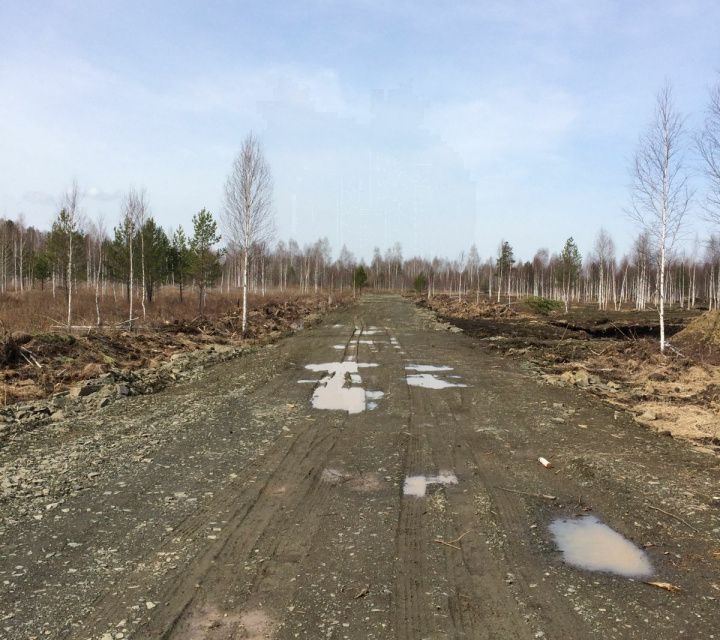 земля г Верхняя Пышма п Кедровое ул Чапаева городской округ Верхняя Пышма фото 8