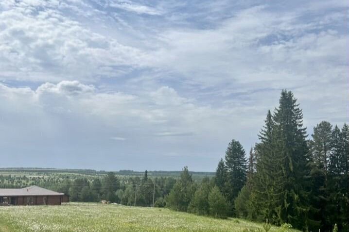 земля р-н Завьяловский д Каменное Ижевск фото 1