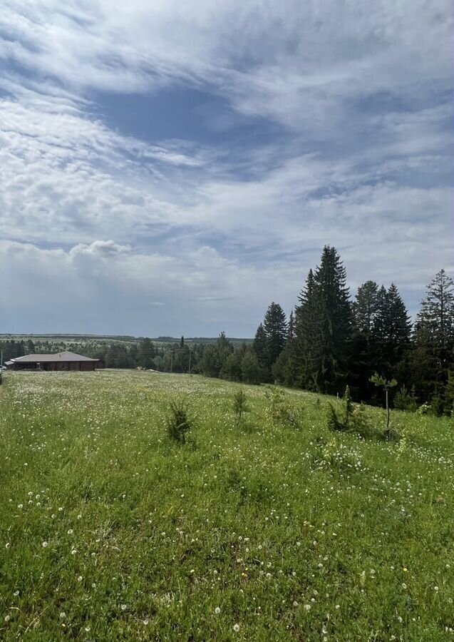 земля р-н Завьяловский д Каменное Ижевск фото 4