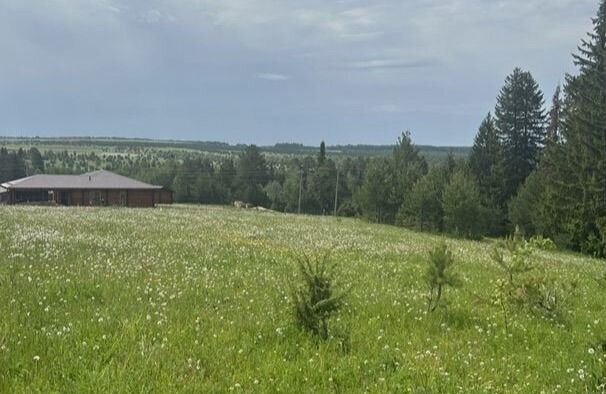 земля р-н Завьяловский д Каменное Ижевск фото 3