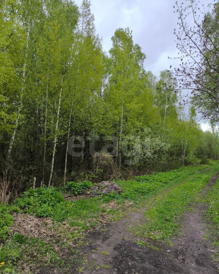 земля городской округ Орехово-Зуевский 13-я линия, Авсюнино, СНТ Вертолёт фото 2