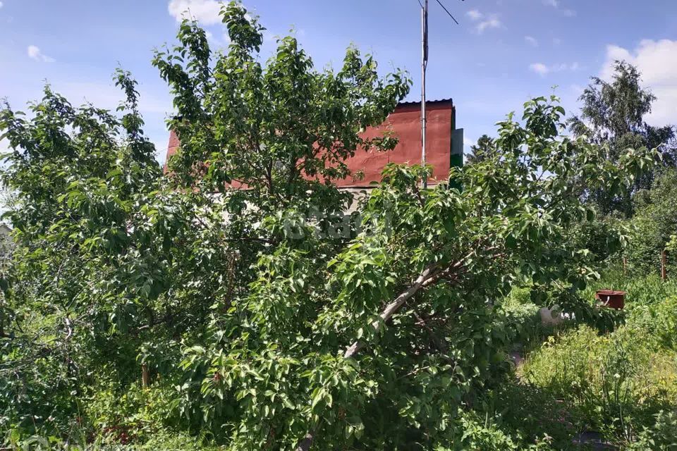 дом г Омск городской округ Омск, СТ Сибирский садовод-1 фото 10