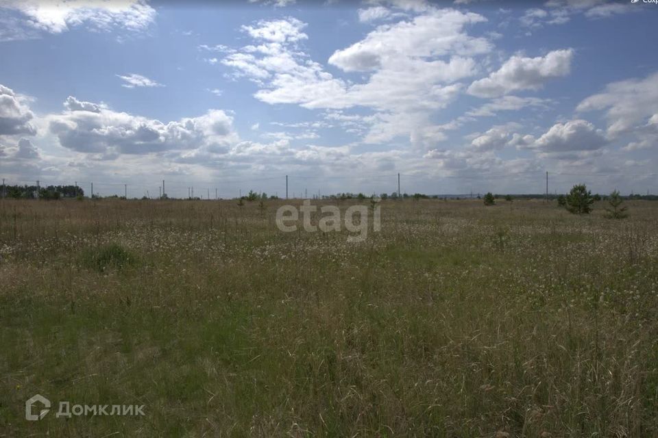 земля р-н Елабужский село Танайка фото 5