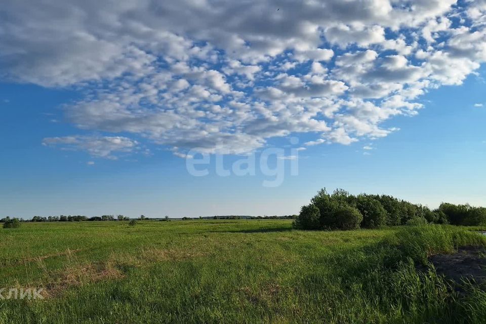 земля р-н Ханты-Мансийский ДНТ Берёзовка фото 6