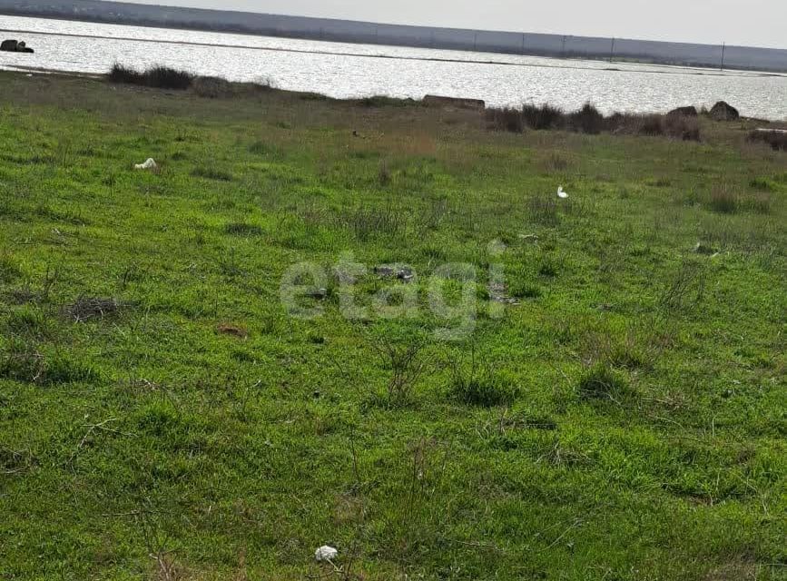 земля р-н Черноморский с Межводное ул Пограничная 8 фото 6