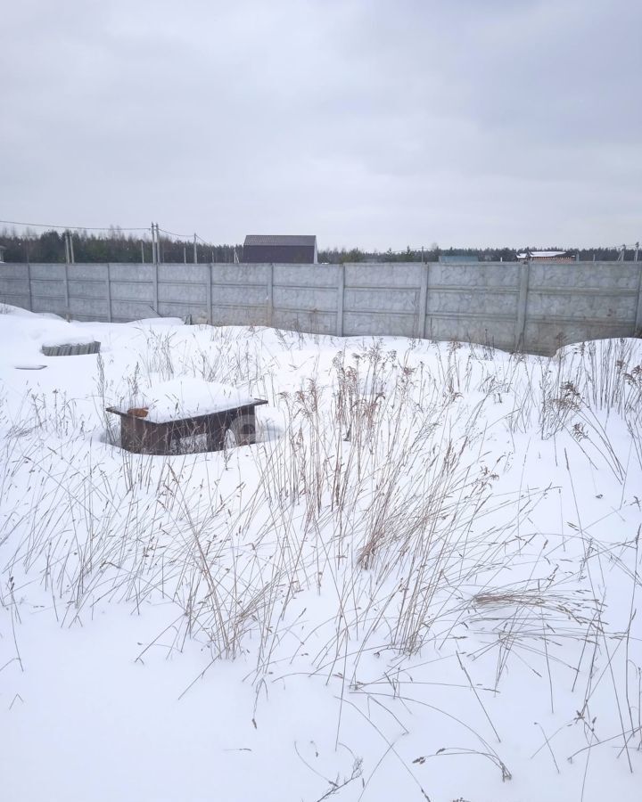 земля городской округ Павловский Посад д Козлово днт Сосновый бор 61 км, Дрезна, Бор, Носовихинское шоссе фото 13