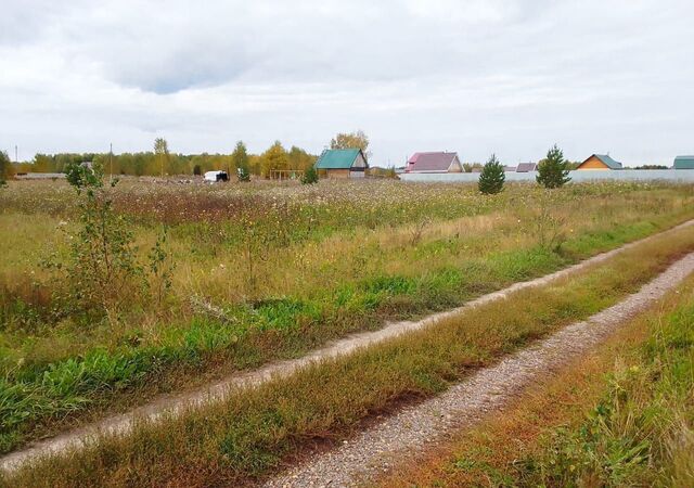 ул Центральная дачное некоммерческое товарищество Рябинка, Томский р-н фото