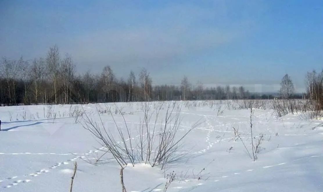 земля р-н Рыбно-Слободский с Урахча Урахчинское селькое поселение, Чистополь фото 1