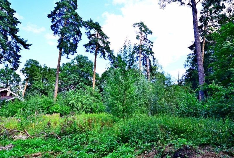 земля городской округ Одинцовский д Жуковка Красногорск, дп. Ильинское фото 2