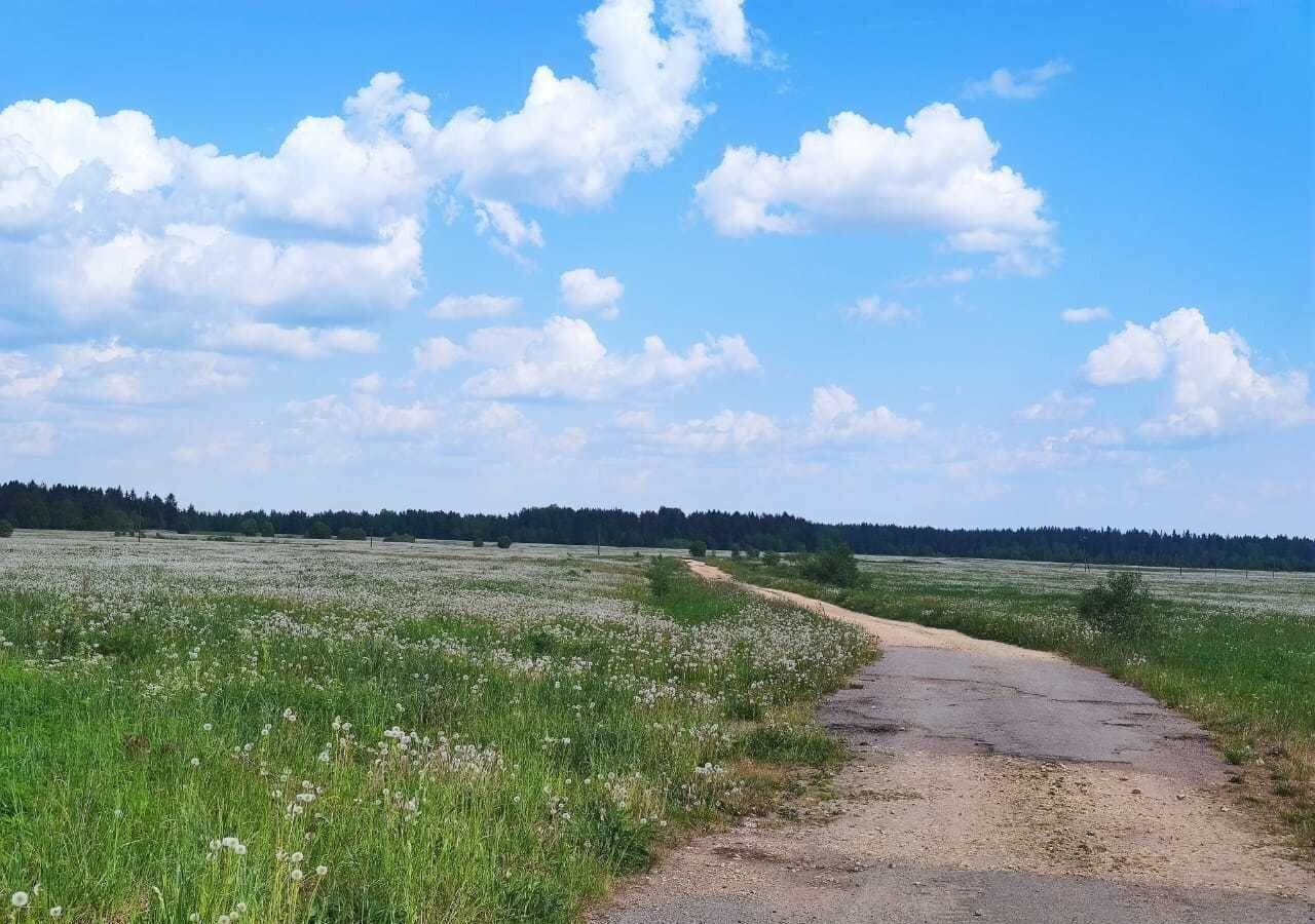 земля р-н Гатчинский п Дружная Горка Дружногорское городское поселение фото 1