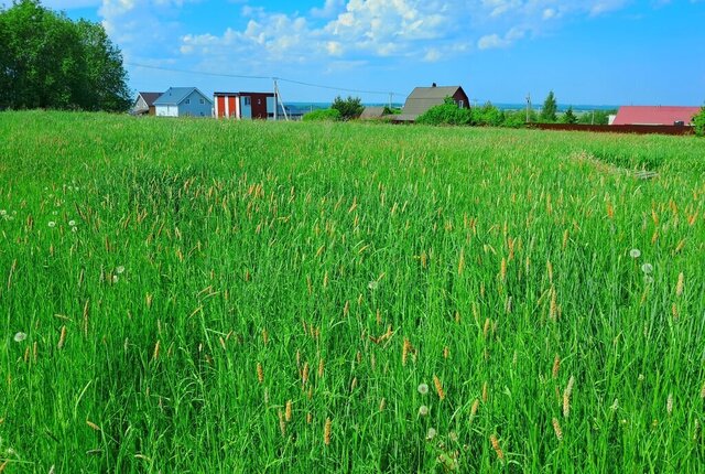 ул Счастливая Аннинское городское поселение фото