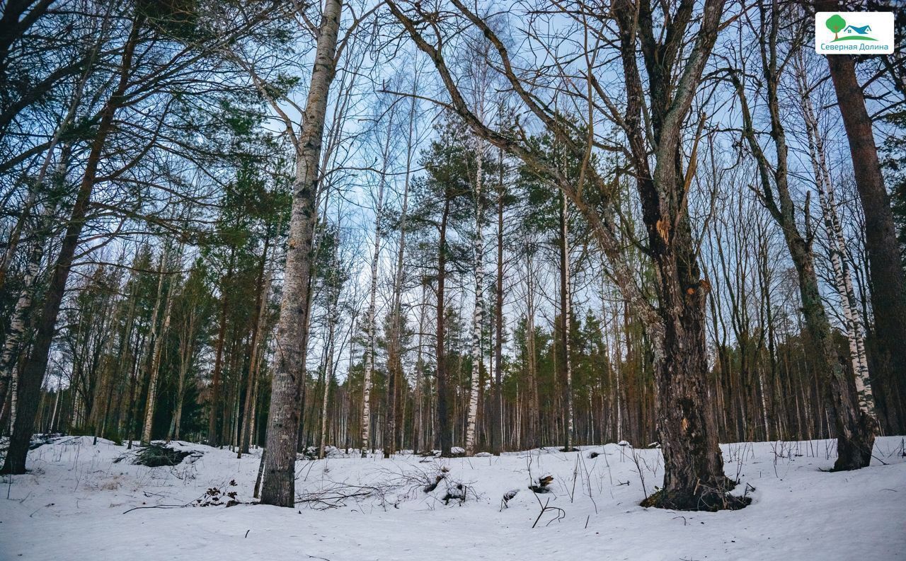 земля р-н Всеволожский г Всеволожск Всеволожское городское поселение, коттеджный пос. Щеглово Сити фото 26