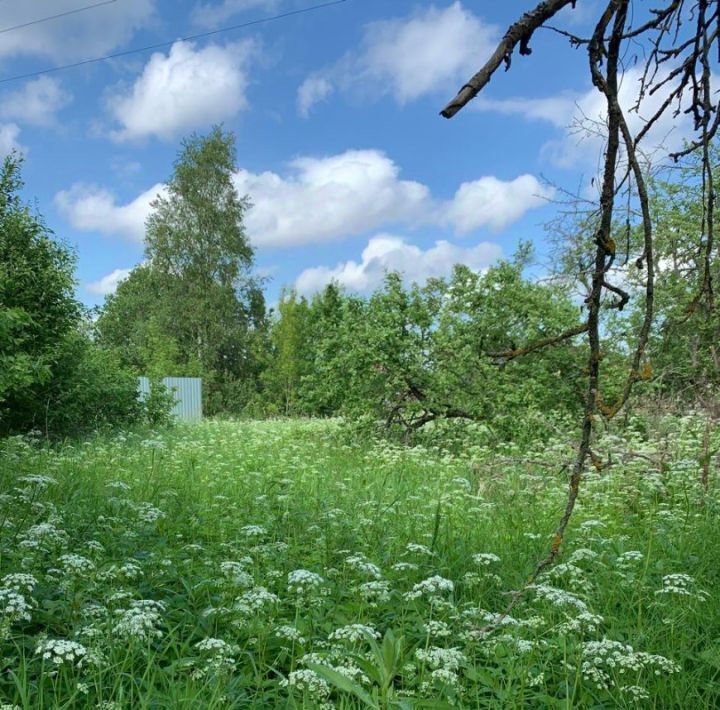 дом р-н Конаковский пгт Козлово ул. Дмитрия Обушева, 15 фото 4