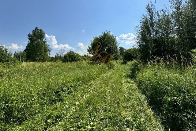 садовое некоммерческое товарищество Берёзка фото