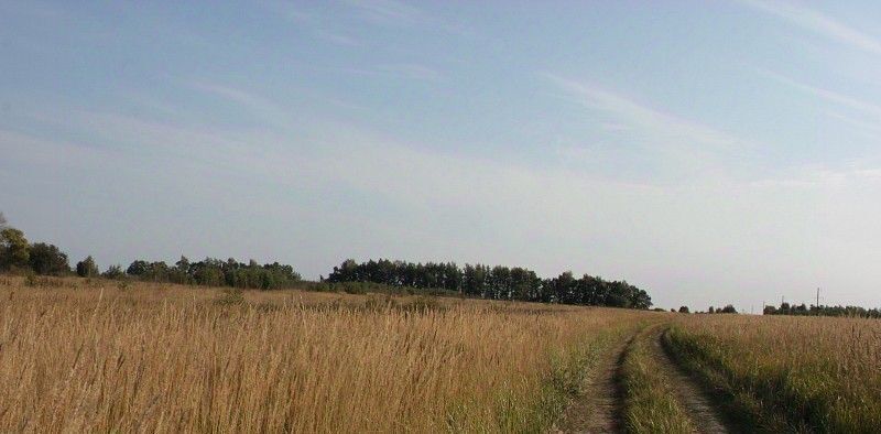 земля р-н Заокский д Кинеево Демидовское муниципальное образование фото 4