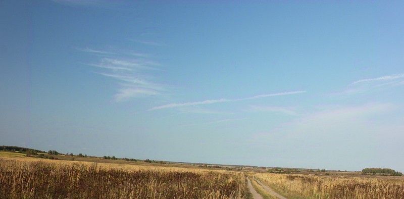 земля р-н Заокский д Кинеево Демидовское муниципальное образование фото 9