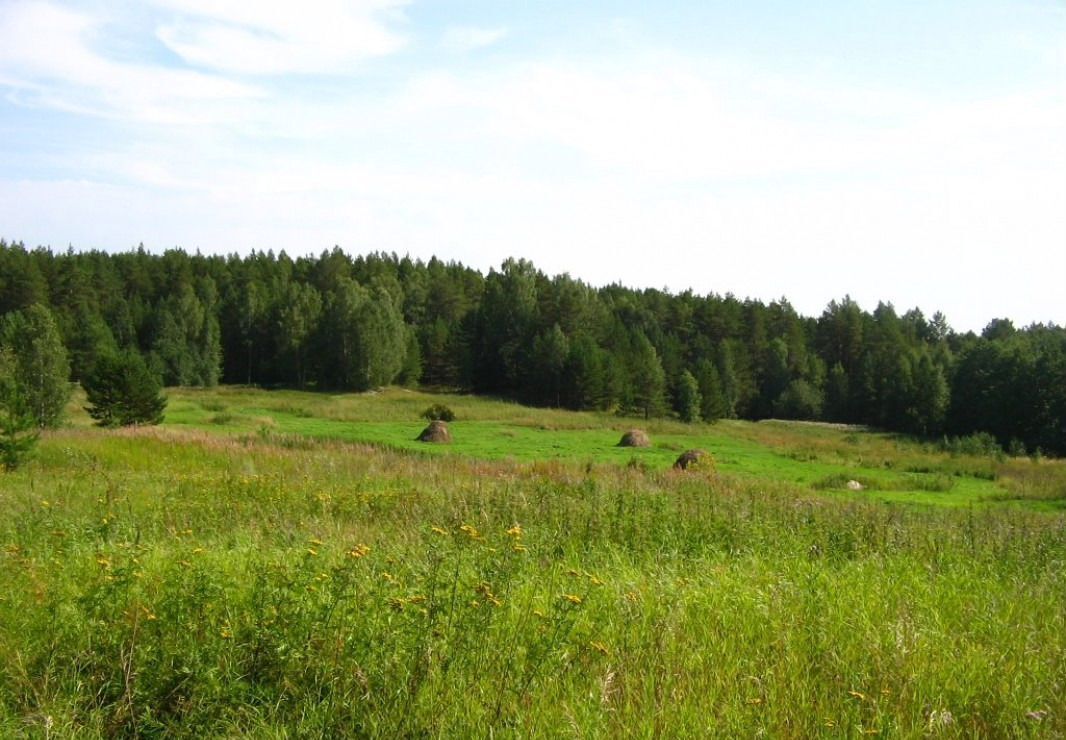 земля г Полевской коттеджный пос. Городок солнца-2 фото 14