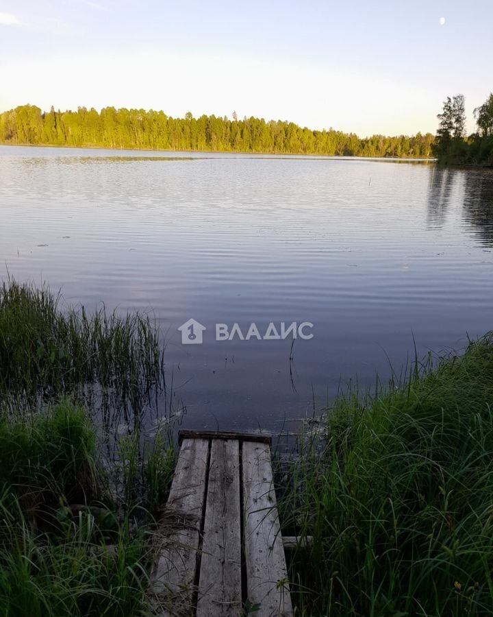 дом р-н Пряжинский д Савиново Ведлозерское сельское поселение, Пряжа фото 30