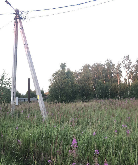 земля р-н Тюменский д Паренкина ул Восточная фото 18