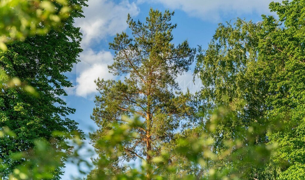 земля р-н Нижнетавдинский снт Лесная Сказка Т-2 фото 14