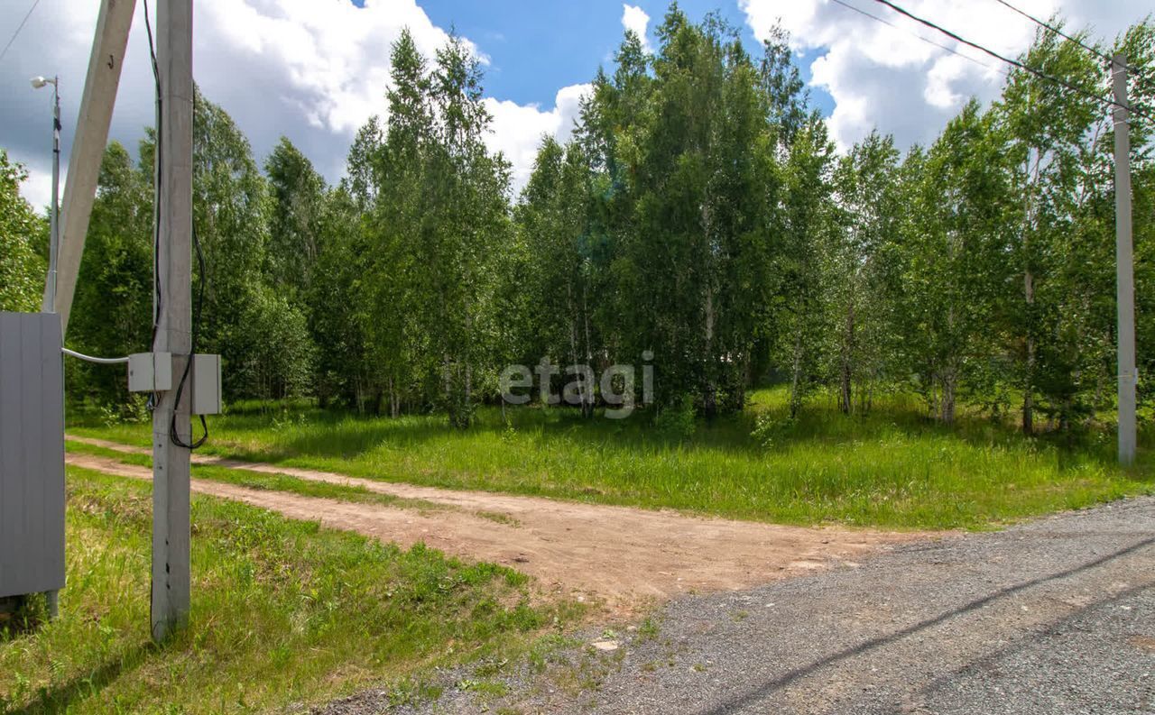 земля р-н Нижнетавдинский снт Царицыно Тюмень фото 10