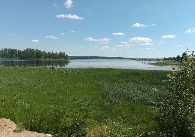 ул Береговая Валдай фото