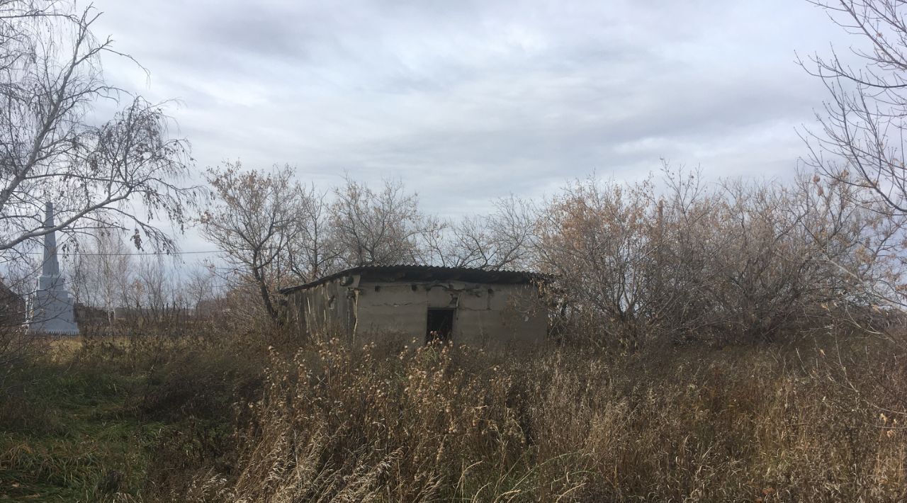 земля р-н Азовский немецкий национальный д Барсуковка ул Центральная 5 Азовский район, Александровское с пос фото 8