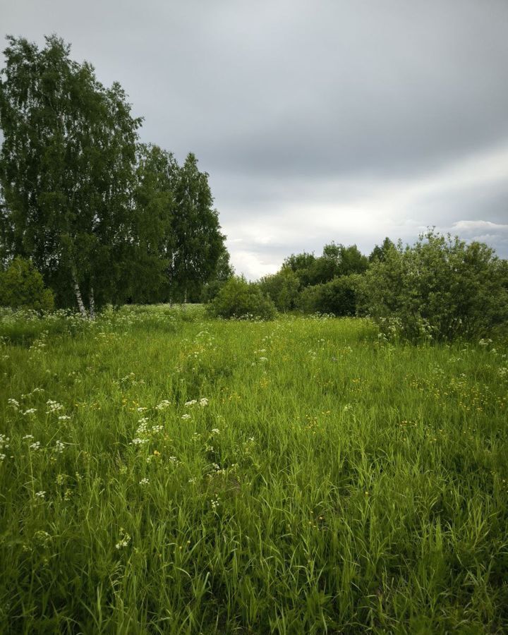 земля городской округ Раменский с Речицы ул Молодежная Речицы фото 1