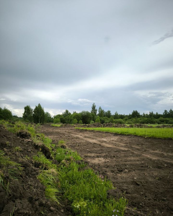 земля городской округ Раменский с Речицы ул Молодежная Речицы фото 2