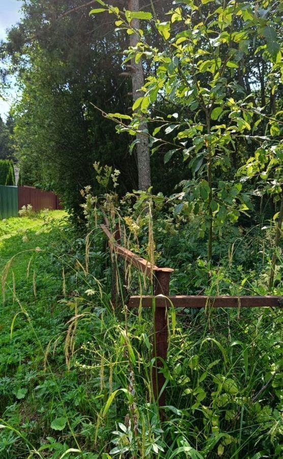 земля городской округ Рузский п Тучково снт Пенсионер 28 фото 7