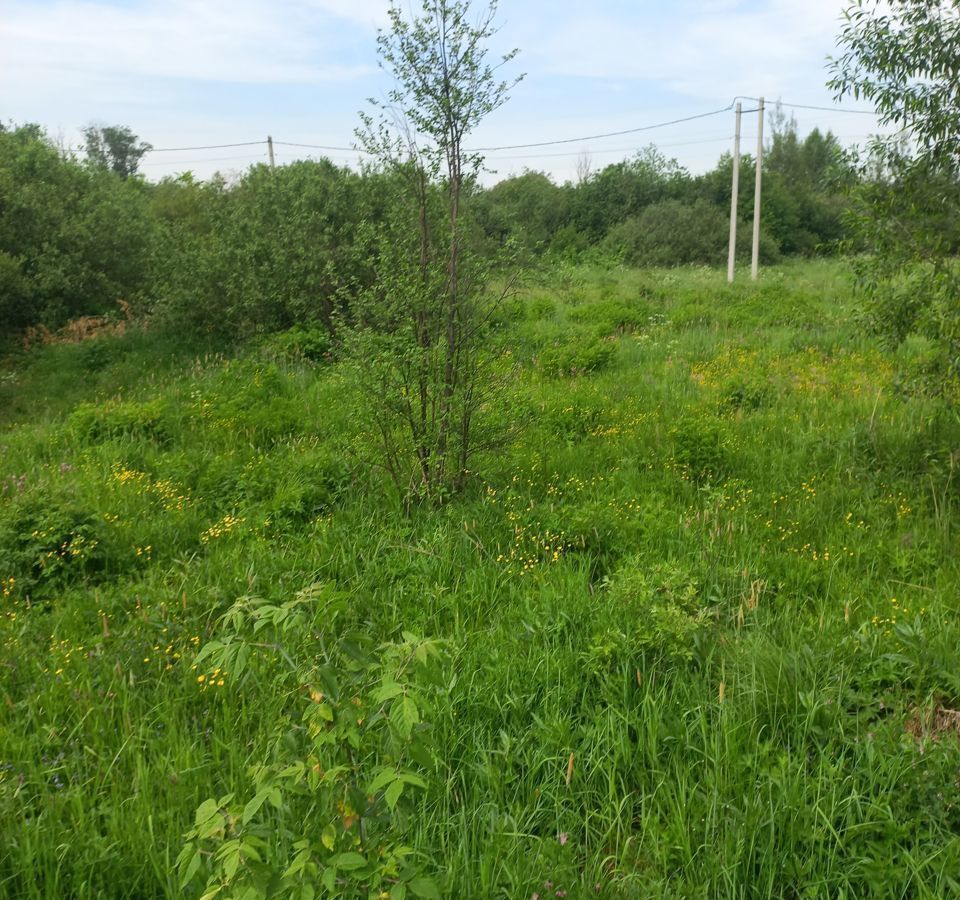 земля городской округ Дмитровский Дмитров фото 4