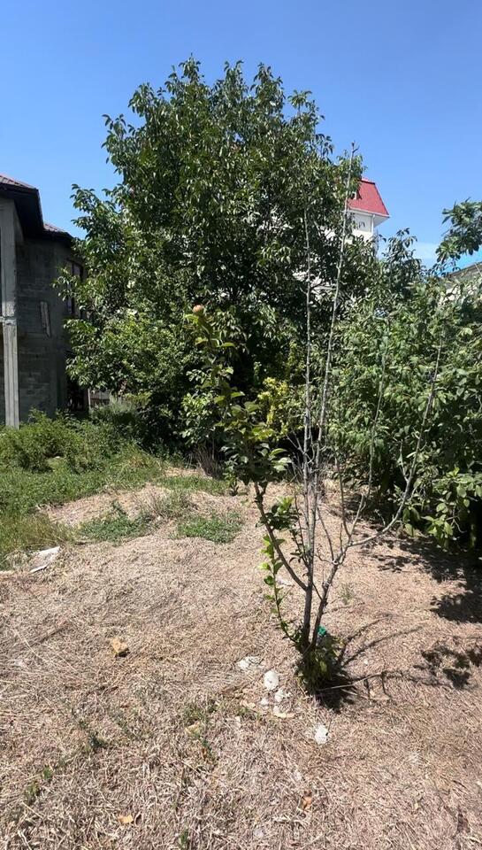 дом р-н Анапский г Анапа ул Кати Соловьяновой муниципальное образование Анапа фото 8